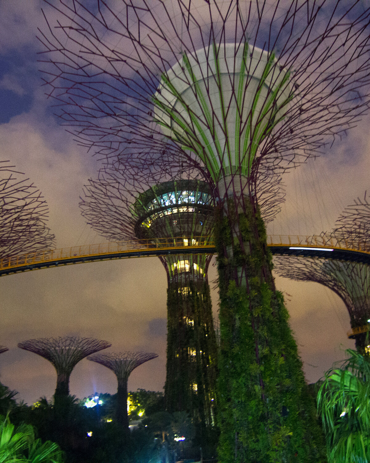 The Supertree Grove at Gardens by the Bay, photographed at night